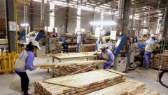 Made-in-Vietnam wooden products conquer US market