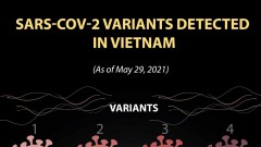 SARS-COV-2 variants detected in Vietnam