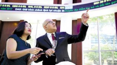 Domestic funds report impressive growth