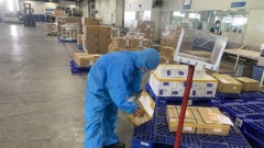 Struggling logistics firms in dire need of support to survive COVID-19 crisis