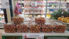 More Vietnamese lychees to be flown to France