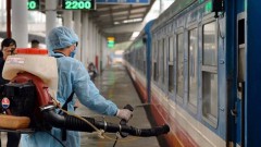 Railway businesses focus on cargo transport to reduce pandemic impacts