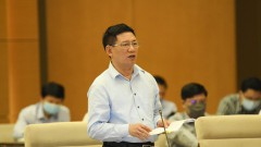 Extend deadline for taxes and land rental payment worth VND 21 trillion: Minister of Finance