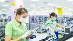 Many firms in pandemic areas have come back to production