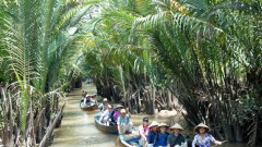 Supporting Tourism Firms to Live through COVID-19 Pandemic