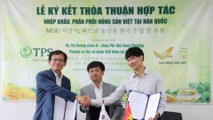 Vietnamese farm produce popularised in RoK
