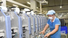 What is the outlook for Vietnam's textile and garment industry?