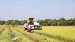 Australian businesses interested in agritech in Vietnam