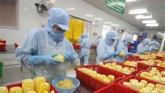 Vietnam’s export turnover surges 28.4 percent in H1