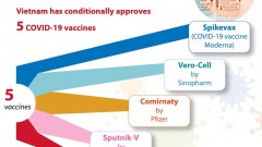 Five COVID-19 vaccines approved for emergency use in Vietnam