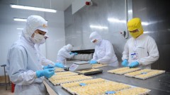 Vietnam’s shrimp exports rake in 1.7 billion USD H1