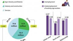 Number of employed workers increases in H1