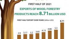 Exports of wood and forestry products hit 8.71 billion USD