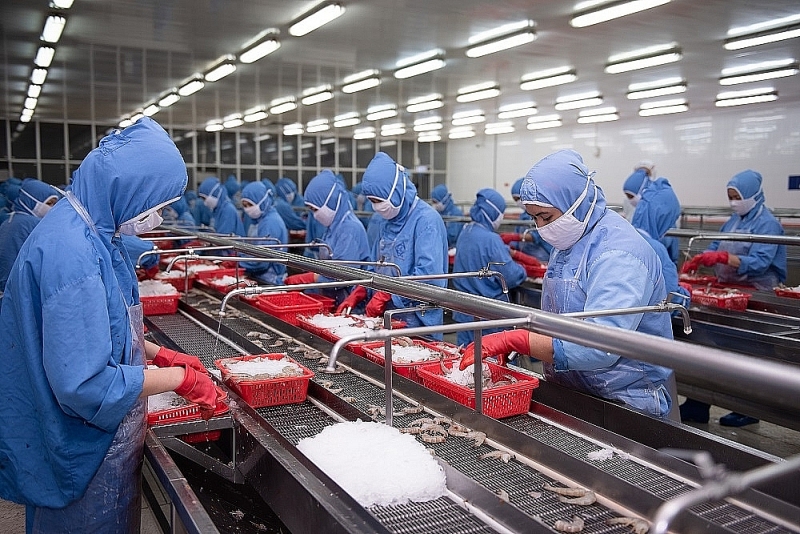 Seafood enterprises gradually close factories because of lack of workers