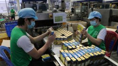 Programme launched to aid export via e-commerce