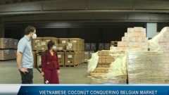 Vietnamese coconut conquering Belgian market