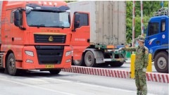 Concerted efforts needed to ease barriers to Vietnam-China agricultural trade