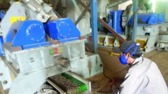 Eight groups of solutions proposed to help businesses