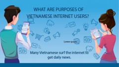What are purposes of Vietnamese internet users?