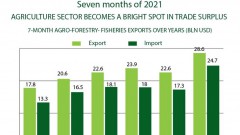Agriculture sector becomes bright spot in trade surplus