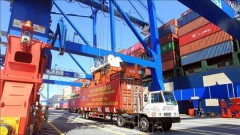 Container cargo via seaports sees double-digit growth