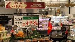 Vietnam’s agricultural product exports shine despite pandemic