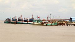 Ben Tre invests in building ports, storm shelters for fishing vessels