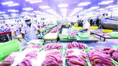 Fear of raw material shortage for export production