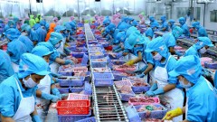 Kien Giang enjoys 8.6 percent rise in export revenue