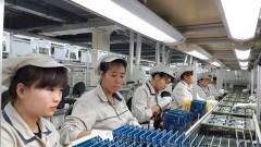 Vietnamese firms yet to fully optimise ASEAN markets: experts