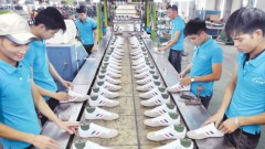 Exports stabilized by FTAs