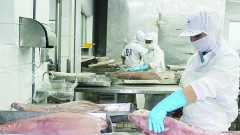 Problems with travel papers and export bottlenecks, a series of associations calling for help