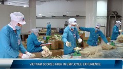 Vietnam scores high in employee experience
