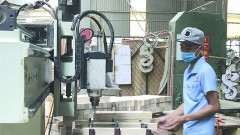 Two scenarios for wood export