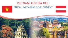 Vietnam, Austria enjoy unceasing development in bilateral ties