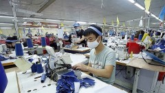 Regulations on VAT payment of domestically manufactured fabric for export garment will not be abolished: MoF