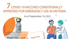 Seven COVID-19 vaccines conditionally approved for emergency use in Vietnam