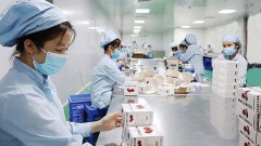 Hanoi’s COVID-19-free zones strive to bolster production
