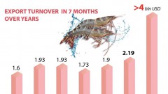 Shrimp exports - bright spot of seafood industry