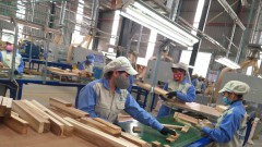 The wood business has a series of proposals while "sitting on the fire"