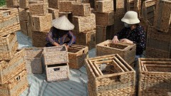 Craft villages in Hanoi resume production