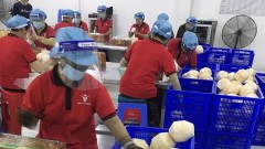Restoring production, connecting circulation to save farmers and businesses