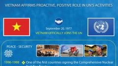 Vietnam affirms proactive, positive role in UN's activities
