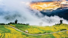 Vietnam responds to World Tourism Day 2021 for inclusive growth