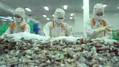 Vietnam seeks to increase agricultural product exports to Chinese locality