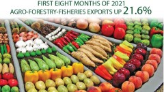 Agro-forestry-fisheries export value up 21.6 percent