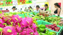 Many opportunities for Vietnamese agricultural products to enter the Russian market