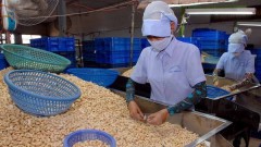 Vietnam’s exports to Cambodia up 16.7 percent in eight months