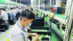 Foreign businesses expect Vietnam to act immediately to avoid falling behind