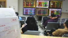 Securities market attracts 12.8 billion USD, up 12 percent in nine months